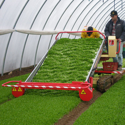 Récolteuse de légumes - FR 28 - De Pietri srl - automotrice / à chenilles