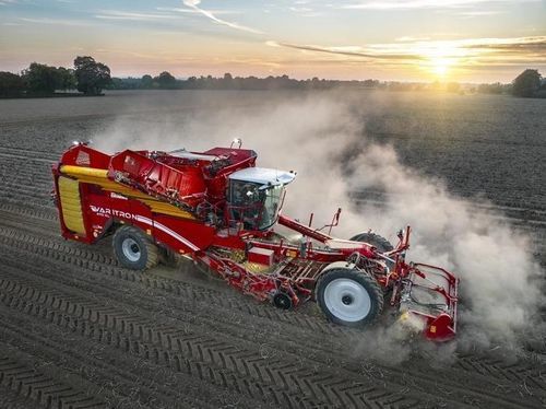 Récolteuse automotrice - VARITRON 470 - Grimme Landmaschinenfabrik GmbH & Co. KG - pour maïs / à 4 rangs / avec système de tamisage
