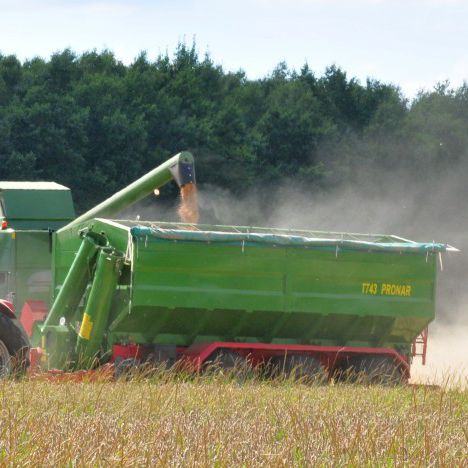 Remorque de transbordement - T743 - Pronar Sp. z o.o. - à 3 essieux / à grains