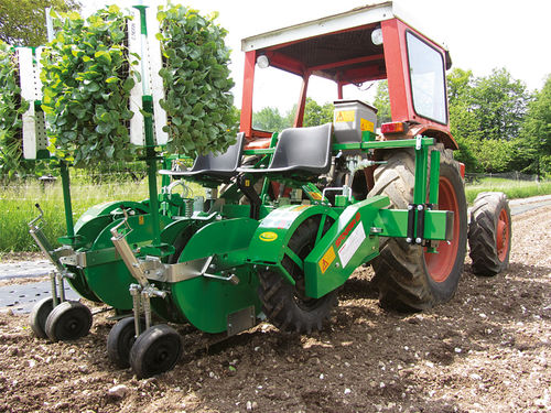 Planteuse de salades - Plantec One - SFOGGIA Agriculture Division S.r.l. - à tomates / manuelle / tractée