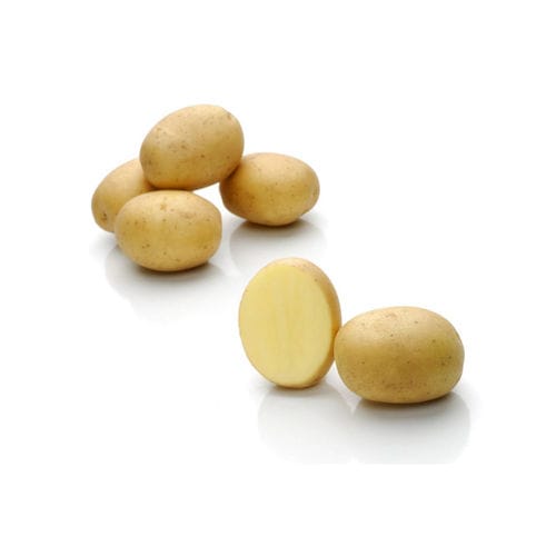 Pomme de terre demi-précoce - Amanda - Solana GmbH & Co. KG - de consommation / longue / moyenne