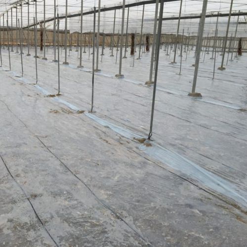 Bâche couvre-sol - DS PLUS - SOTRAFA, S.A. - de paillage / anti-UV / résistant aux produits chimiques