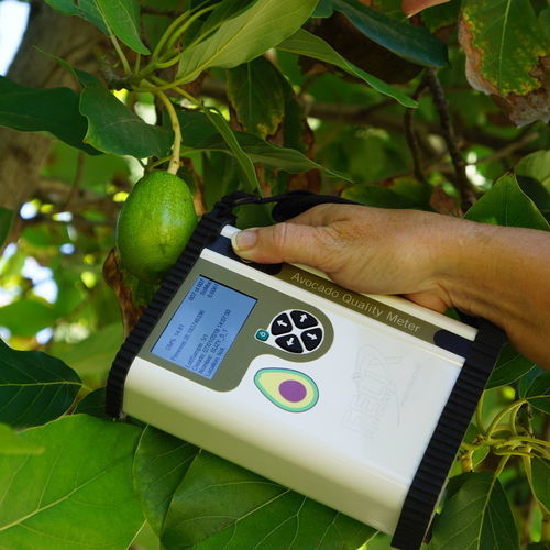 Testeur de maturité de fruits - 26011 - STEP Systems GmbH - non destructif / portable