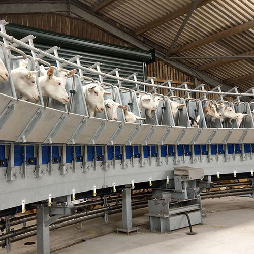 Trémie d'alimentation pour bovins - ATL - Agricultural Technology Ltd. - en acier / dans la salle de traite