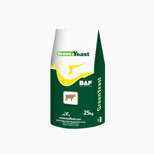 Complément alimentaire pour animaux - GreenYeast - Baf Premiks ve Tar. San. Dis. Tic. Ltd. Sti. - pour bovins / avec des levures / sec