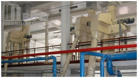 Élévateur à godets vertical - BDW Feedmill Systems GmbH & Co. KG