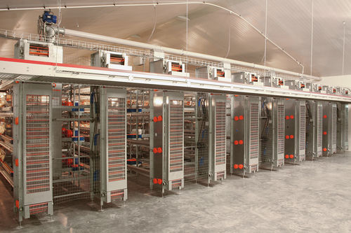 Système de ramassage d’œufs multi-étages - ST - Big Dutchman - collecteur vertical / avec compteur d’œufs