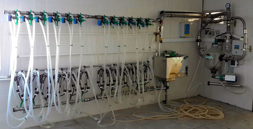 Salle de traite pour vaches - MDP series - Bratslav A.L.C. - parallèle / avec sortie rapide