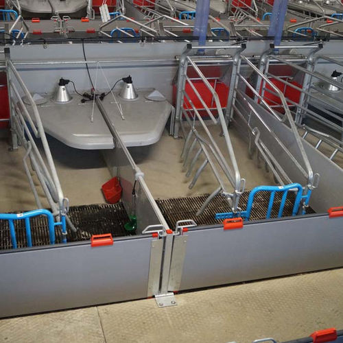 Cage de mise-bas avec protection contre l’écrasement - F207  - ACO Funki A/S - réglable / avec abreuvoir