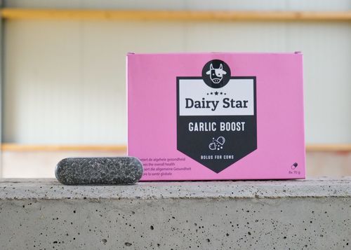 Bolus pour la nutrition - DairyStar Garlic Boost - AGRIPROM - pour bovins / organique / pour stimuler la vitalité de la mamelle