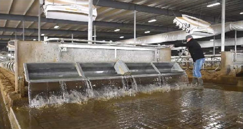 Auge pour bovins - Aqua Through Tipping - AGRIPROM - en acier inoxydable / acier galvanisé / fixation murale