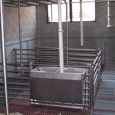 Trémie d'alimentation pour porcs - Evoteck s.r.l. - en acier inoxydable / multi-accès
