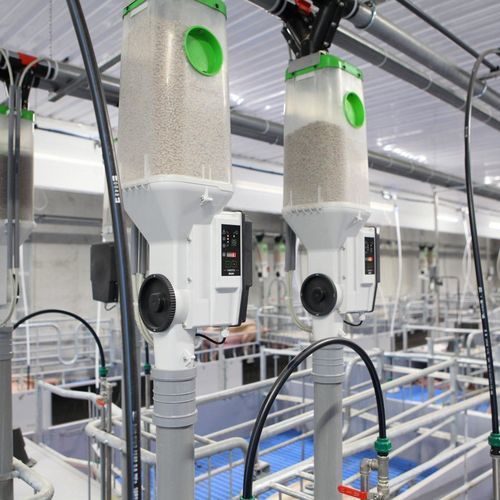 Système d'alimentation pour cages de mise à bas - Farotek Plus - Fancom B.V.