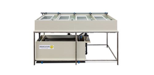 Incubateur de poisson pour poisson - 4x Hatching trays - Aquaculture ID - pour l'aquaculture