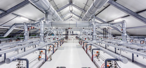 Système de ventilation pour bâtiment agricole - HatchTech B.V.