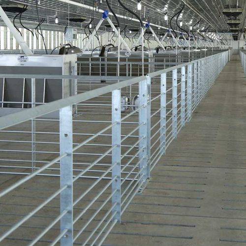 Barrière d'élevage - 4470108160 - Hog Slat - pour stabulation / pour porcs / en métal