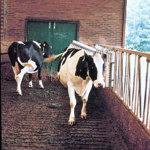 Brosse d'élevage - VEEB0001 - Holland Animal Care - stationnaire / pour vaches / horizontale
