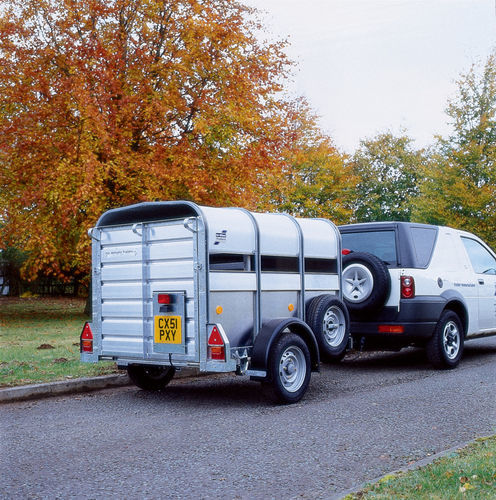 Bétaillère à 1 essieu - P series - Ifor Williams Trailers Ltd.