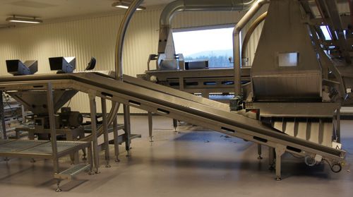 Convoyeur pour poussins - Innovatec Hatchery Automation - à bande / de calibrage