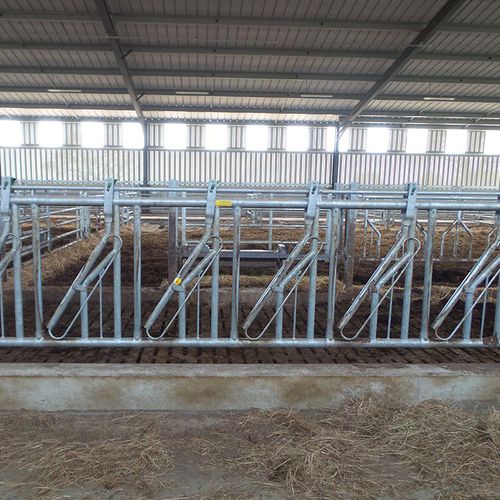 Cornadis pour vaches - PA0386 - JOURDAIN - à structure tubulaire / réglable