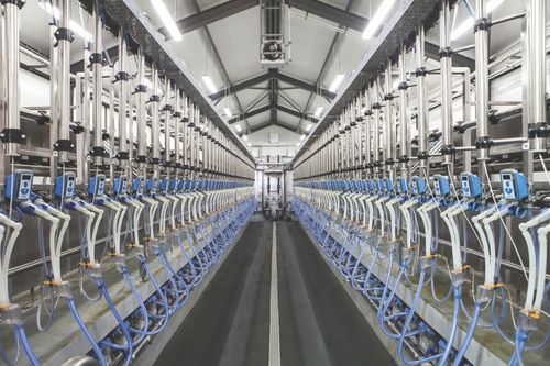 Salle de traite pour moutons - F4A  - MILKPLAN S.A. - parallèle / avec sortie rapide