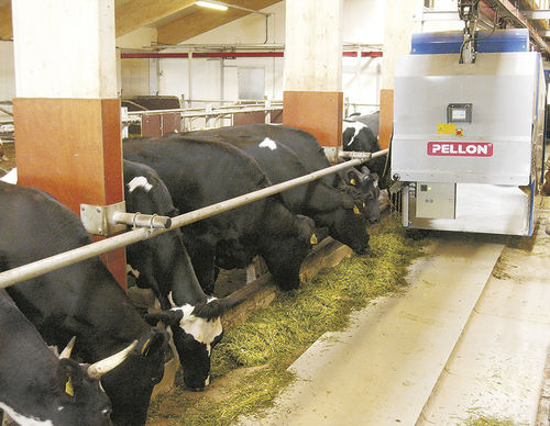 Système d'alimentation pour bovins - TMR  - Pellon Group Oy - mobile