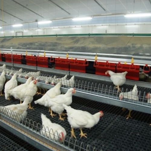 Système de volière pour poules pondeuses - SCHULZ Systemtechnik GmbH