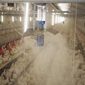 Système automatique de distribution d'aliments pour volaille - Rotra - VDL AGROTECH B.V.