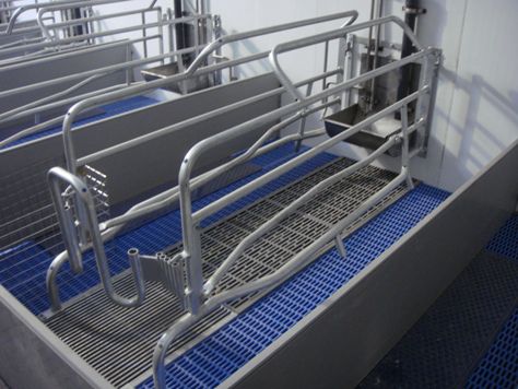 Cage de mise-bas - Vereijken Hooijer B.V. (Pro Dromi®)