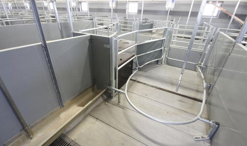 Cage de mise-bas avec protection contre l’écrasement - Vissing Agro A/S
