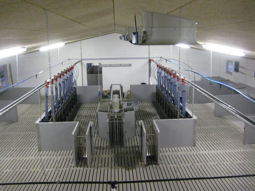 Porte de tri pour porcs - W. DOMINO A/S - automatisé
