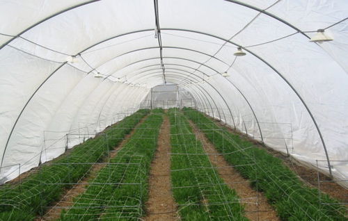 Filet anti-insecte - Optinet Mesh series - Ginegar Plastic Inc