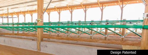 Cornadis pour vaches - FEED4ALL™ - GREENFREESTALL/Captein Bros Equipment LLC - standard / à structure tubulaire