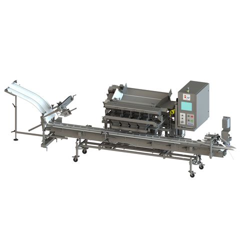 Machine d'emballage de fruits - WFMP60 - A & B Packing Equipment, Inc. - automatique