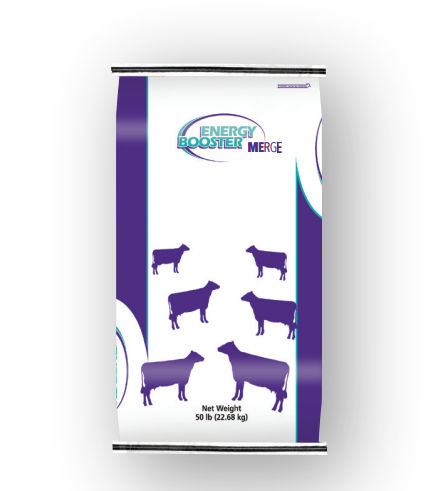Complément alimentaire pour animaux - Energy Booster Merge® - Milk Specialties Global - pour bovins / gras / d'acide gras