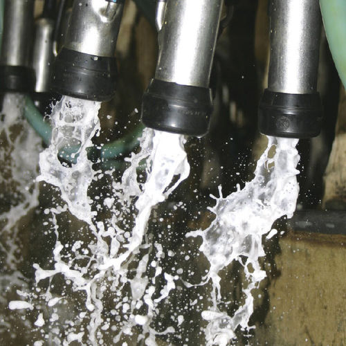 Faisceau trayeur pour vaches - Cotswold - Onfarm Solutions Ltd - 4 trayeurs / 2 trayeurs