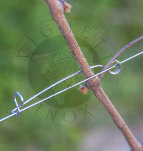Lien de vigne - ART.19H - Vignetinox