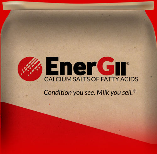 Complément alimentaire pour animaux - EnerGII - Virtus Nutrition LLC - pour bovins / de calcium / avec acide