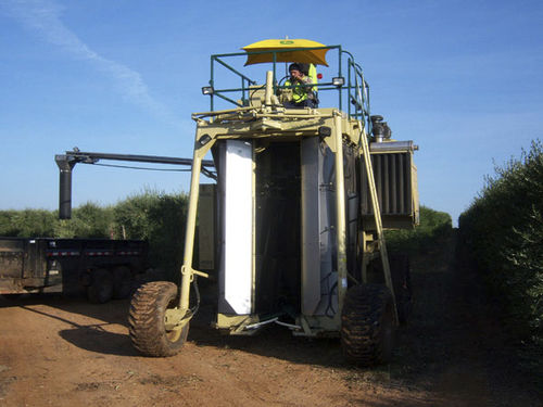 Récolteuse à olives - American Grape Harvesters, Inc. - automotrice / à 1 rang