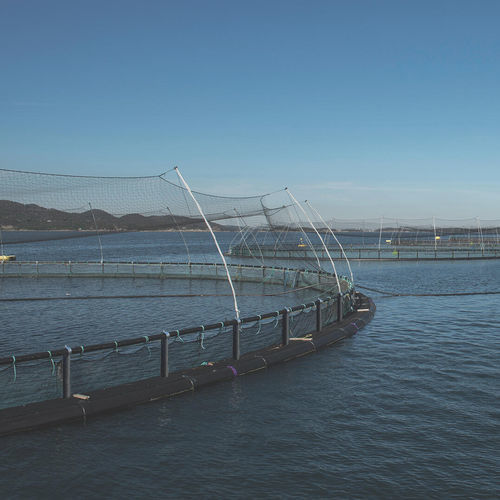 Cage à poisson flottante - Polarcirkel 500R Combi - AKVA group - en plastique / ronde