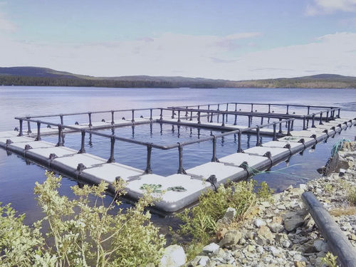 Cage à poisson flottante - Hvalpsund Net a/s - carrée