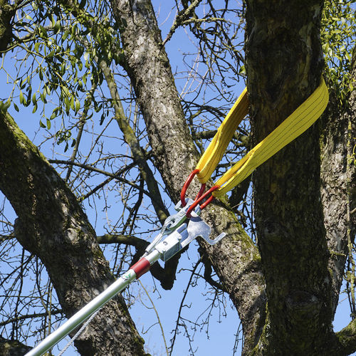 Vibreur à olives à essence - TS - FEUCHT Obsttechnik GmbH