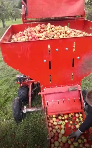 Trieur de fruits - FCK - FEUCHT Obsttechnik GmbH