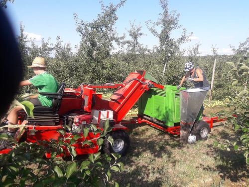 Remorque plateau avec ridelles - FEUCHT Obsttechnik GmbH - portée / à 1 essieu / agricole