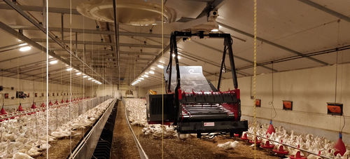 Pailleuse distributrice sur rail - Galonnier - pour paillage / pour balle ronde / pour botte carrée