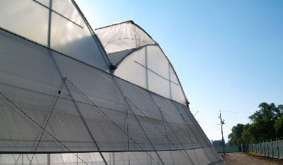 Serre multi chapelle - R- MTT96,R- MTT112,R- MTT128 - Rufepa - de production / en plastique / avec gouttière