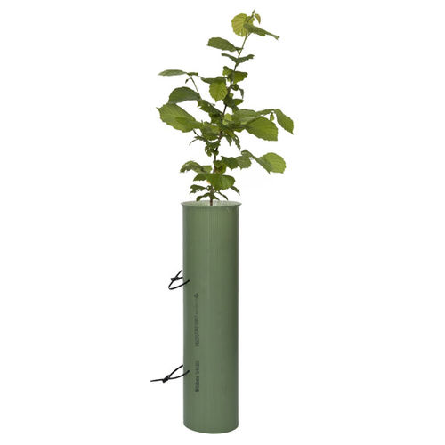 Tube de plantation arboricole - SHRUBSHELTER - Tubex