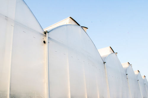 Serre multi chapelle - G series - Ulma - de production / de jardinage / ornementale