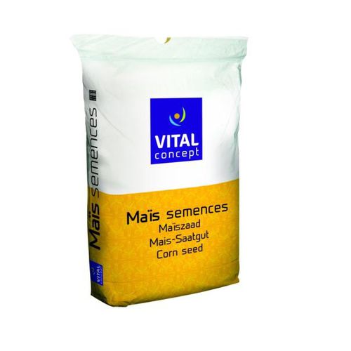 Semence de maïs précoce - Scourtin - Vital Concept - fourrager / hybride / dentée