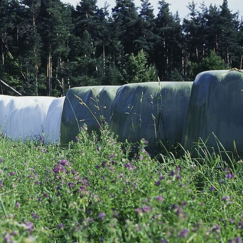 Bâche d'ensilage - NEWRAP - Barbier Groupe - d'enrubannage / blanc / noir
